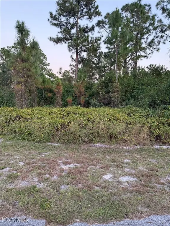 2002 Fitch Avenue, Alva, FL 33920 - Image #2