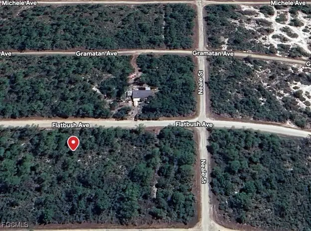 3234 Flatbush Avenue, Lake Placid, FL 33852 - Image #3