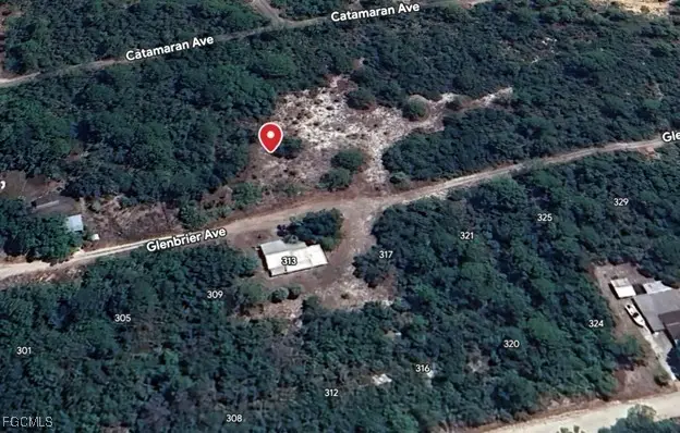 314 Glenbrier Avenue, Lake Placid, FL 33852 - Image #1