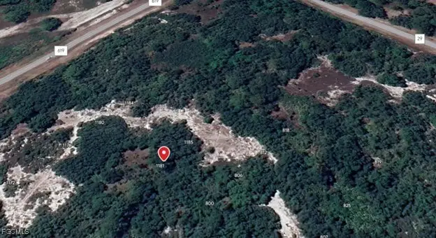 1181 Ebbtide Avenue, Lake Placid, FL 33852 - #2