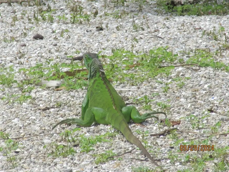 2754 Shoreview Drive, Naples, FL 34112 - Image #2