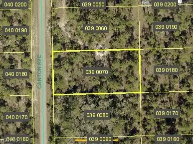 2310 Canton Avenue, Alva, FL 33920 - Image #1