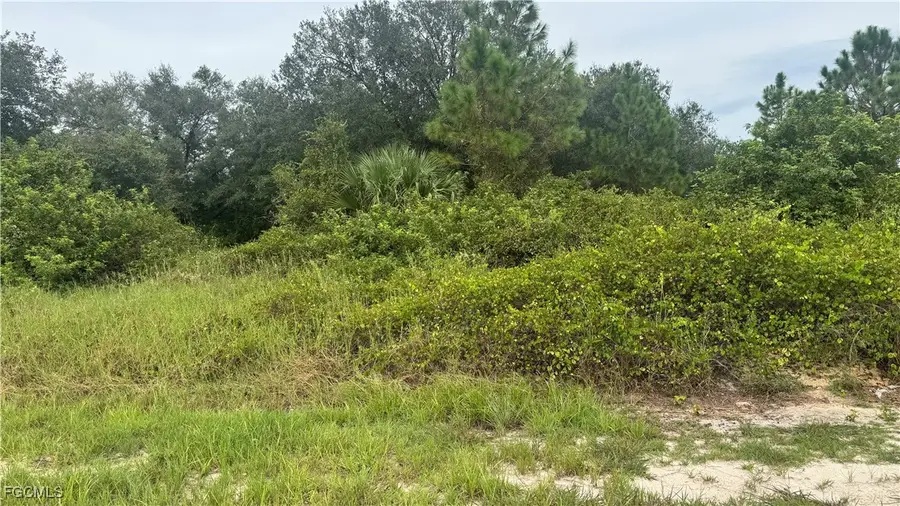 1808 Irving Avenue, Lehigh Acres, FL 33972 - #2