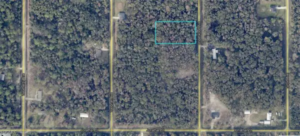 10695 Underwood Avenue, Hastings, FL 32145