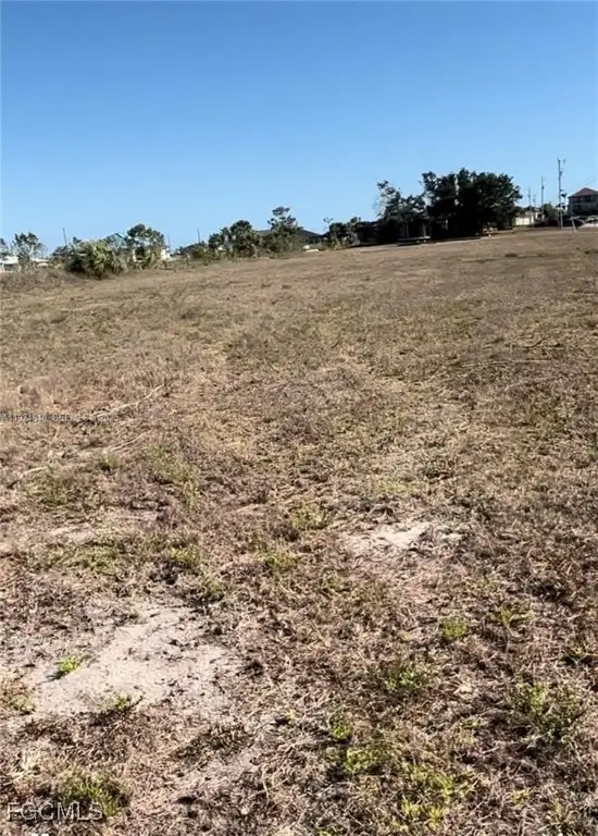 1931 NW 9th Place, Cape Coral, FL 33993 - Image #3