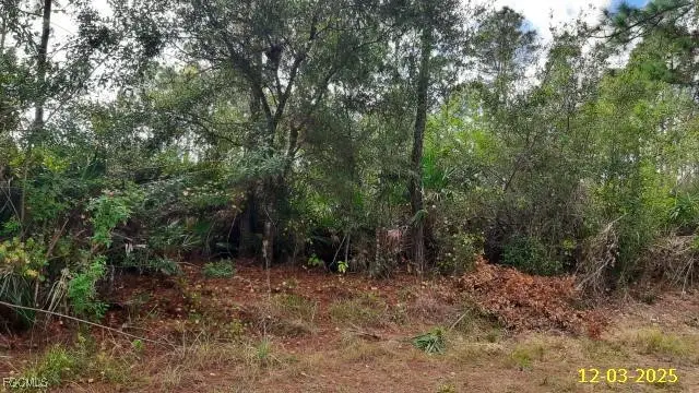 23475 Moses Court, Punta Gorda, FL 33980 - #2
