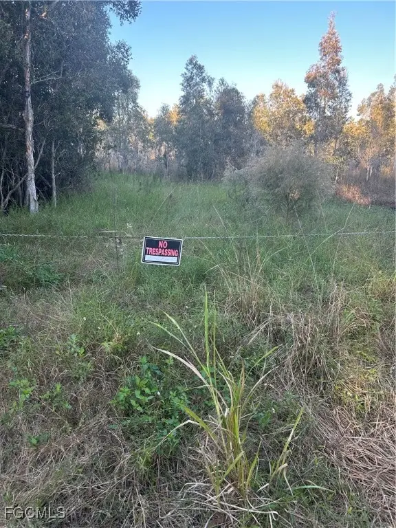 33608 Oil Well Road, Punta Gorda, FL 33955 - Image #3