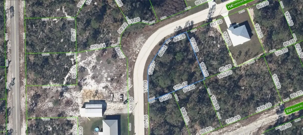 114 Hayes Avenue Ne, Lake Placid, FL 33852 - Image #1