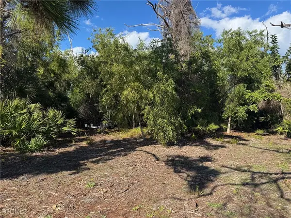 3716 Manatee Drive, St James City, FL 33956