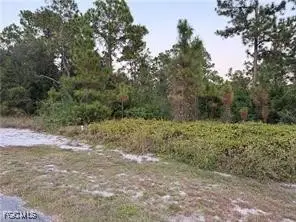 2002 Fitch Avenue, Alva, FL 33920 - Image #3