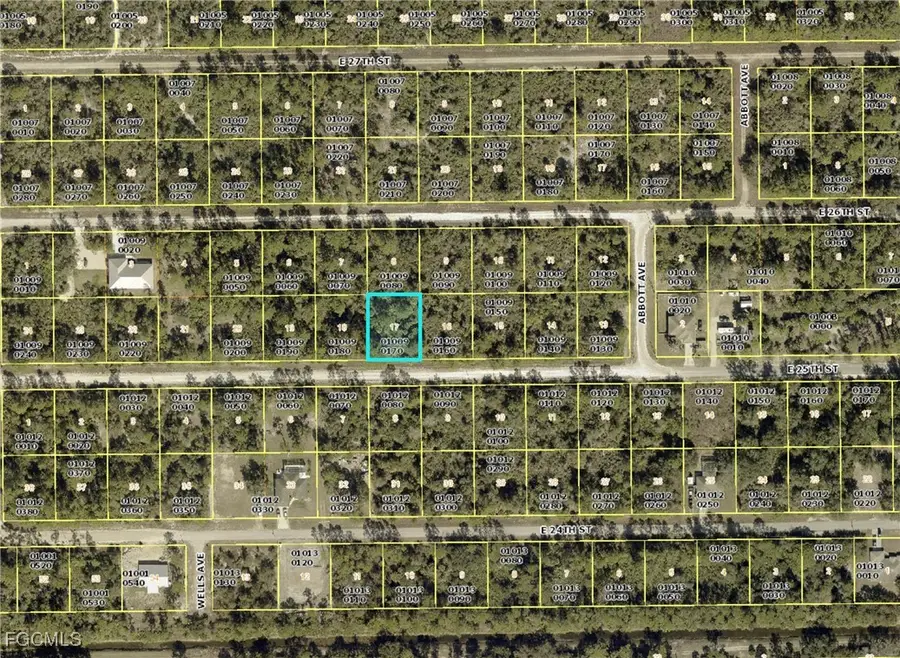 4211 E 25th Street, Alva, FL 33920 - Image #3