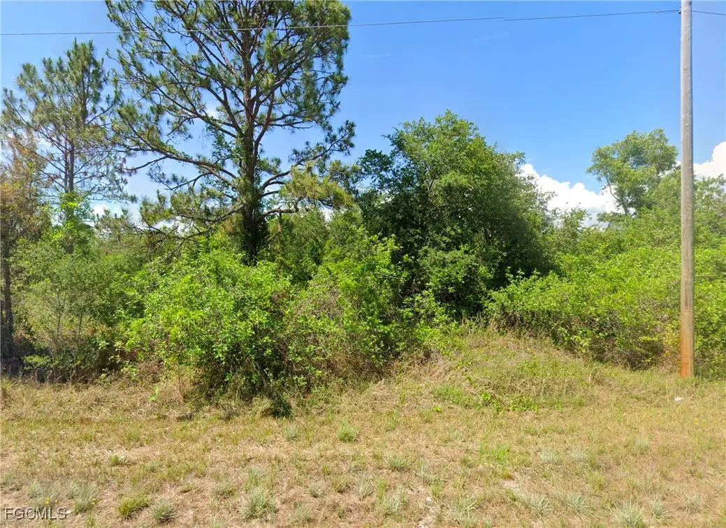 901 Barcia Street E, Lehigh Acres, FL 33974 - Image #1