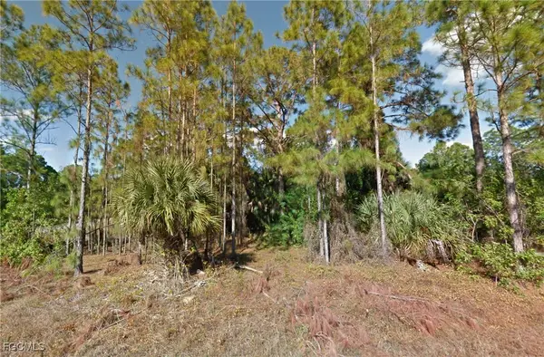 1133 Rambler Street, Lehigh Acres, FL 33974