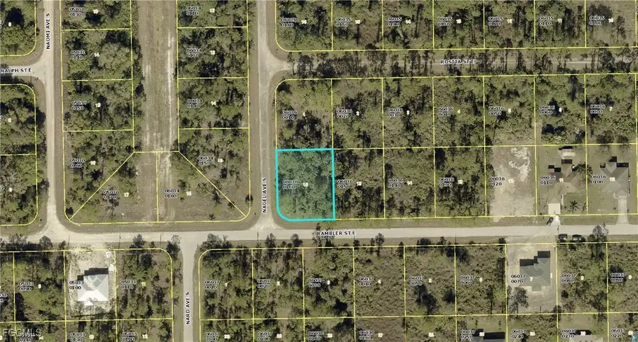 1133 Rambler Street, Lehigh Acres, FL 33974 - Image #3