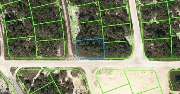 446 Fawnwood Avenue, Lake Placid, FL 33852 - Image #1