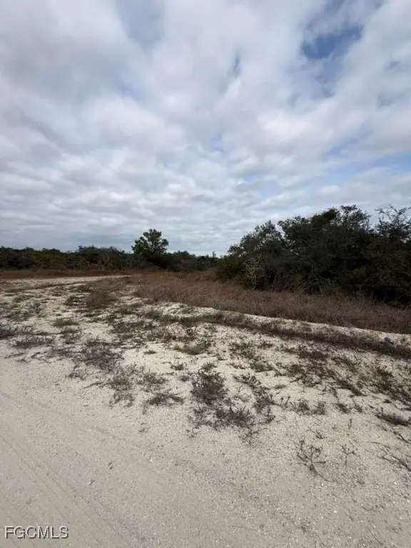 446 Fawnwood Avenue, Lake Placid, FL 33852 - #3