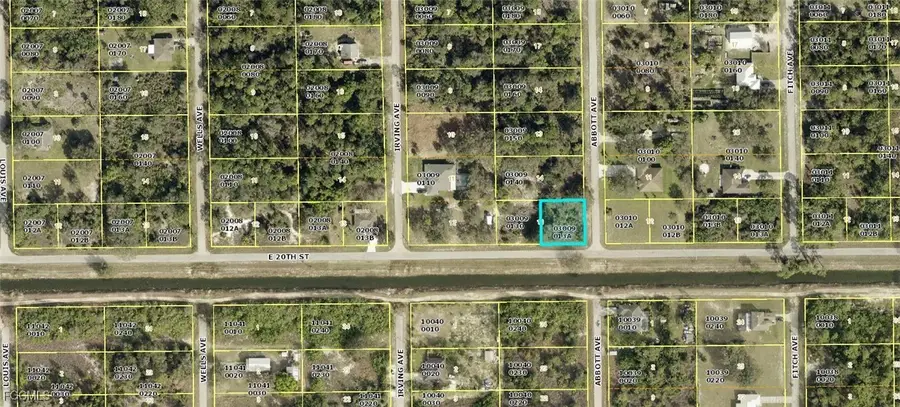 4307 20th Street E, Alva, FL 33920 - Image #3