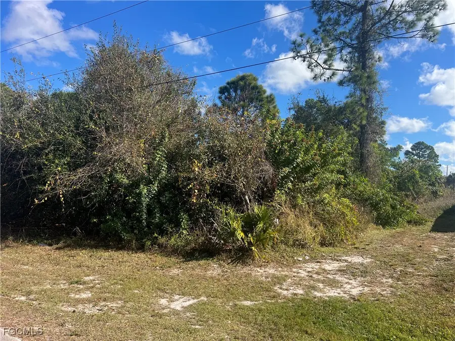 2904 Ida Avenue N, Lehigh Acres, FL 33971 - Image #2