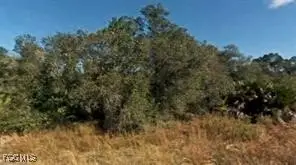 4227 E 29th Street, Alva, FL 33920 - #2