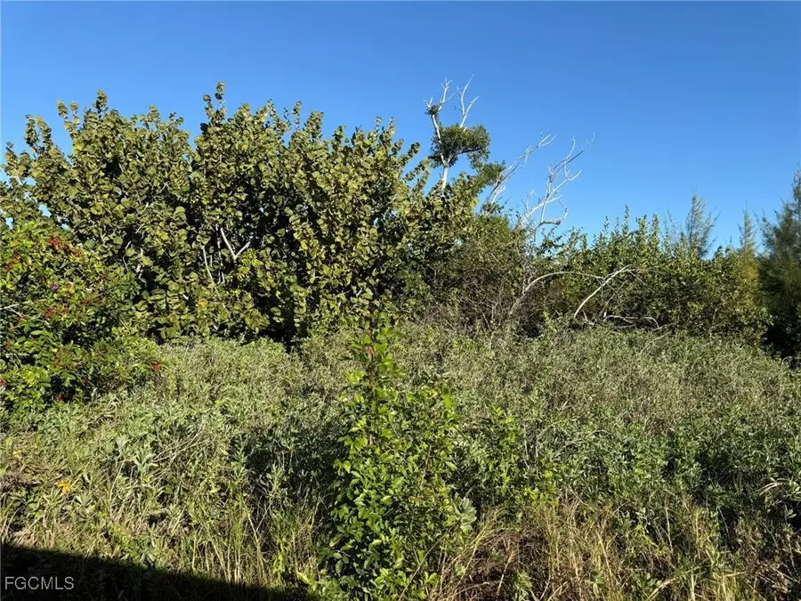 161 Swallow Drive, Captiva, FL 33924 - Image #2