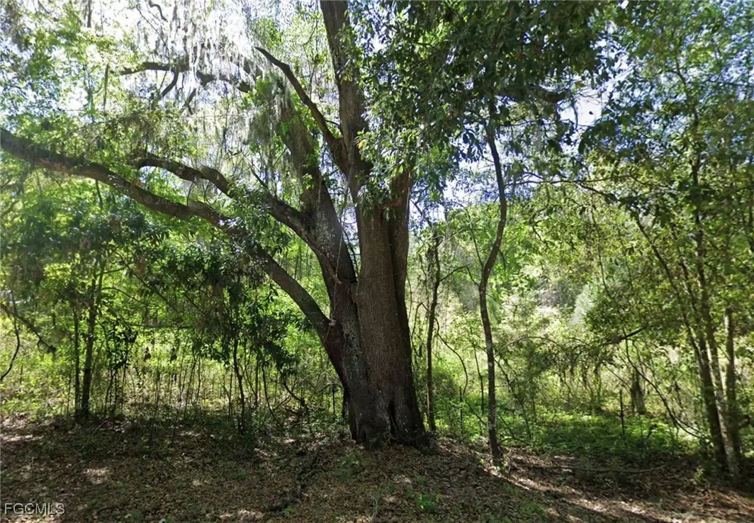 147 SW Liberty Gln, Fort White, FL 32038 - Image #1