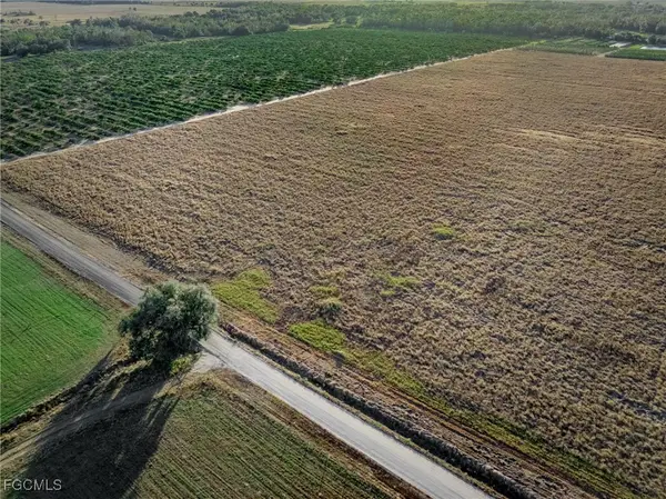 Rest Haven Road, Zolfo Springs, FL 33890