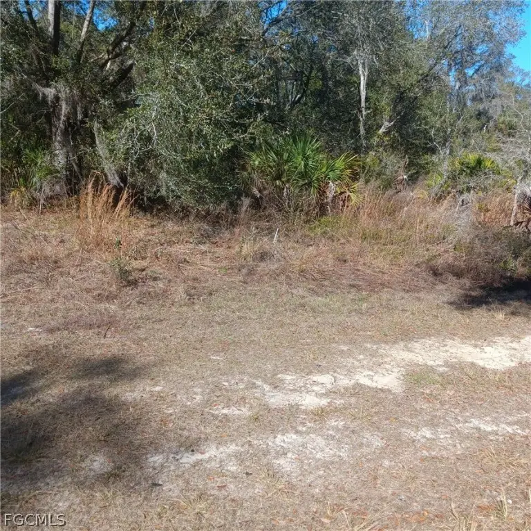 8177 W Elaine Street, Crystal River, FL 34428 - #3