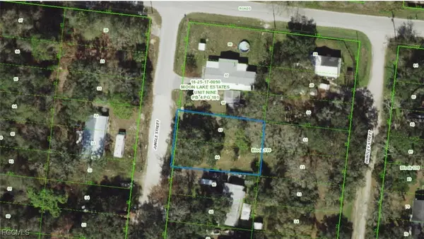 17-25-16-009.0-139.00-094 Jungle Street, New Port Richey, FL 34654