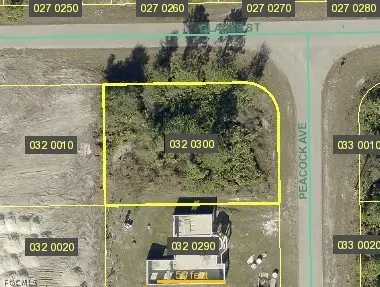 704 Peacock Avenue, Lehigh Acres, FL 33974 - #1