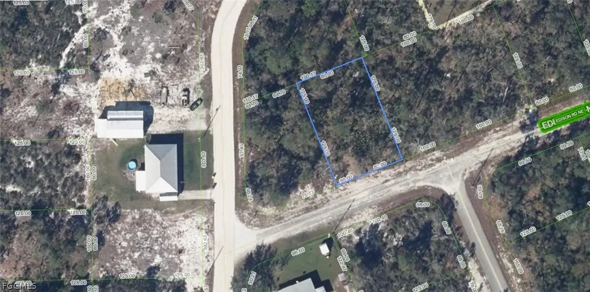 102 Edison Road Ne, Lake Placid, FL 33852 - #1