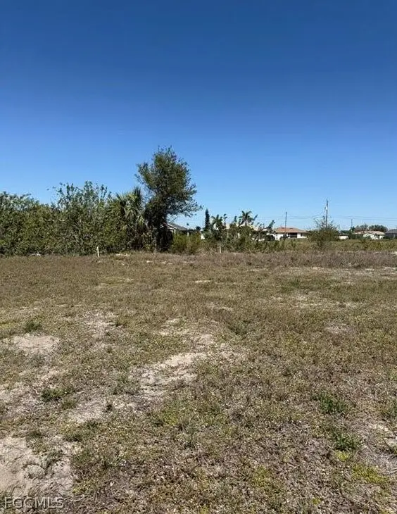 1139 NW 13th Street, Cape Coral, FL 33993 - #3