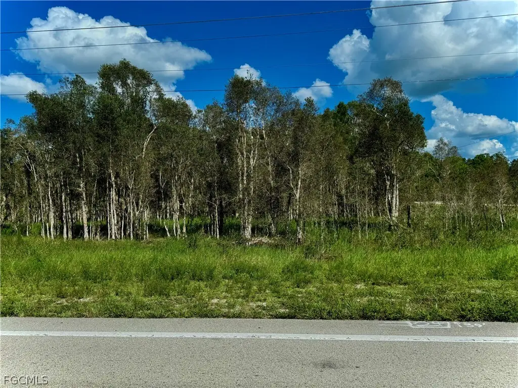 1005/1007 Homestead Road S, Lehigh Acres, FL 33974 - #1
