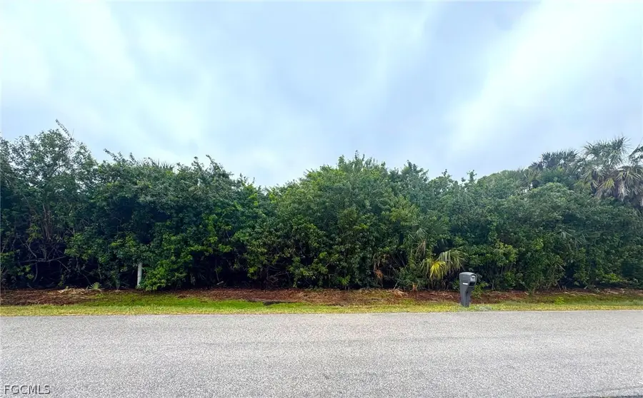 3311 Amanda Street, Punta Gorda, FL 33950 - #2