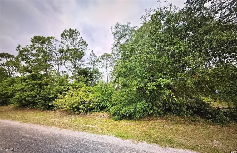 1419 Sheldon Avenue, Lehigh Acres, FL 33972 - #2