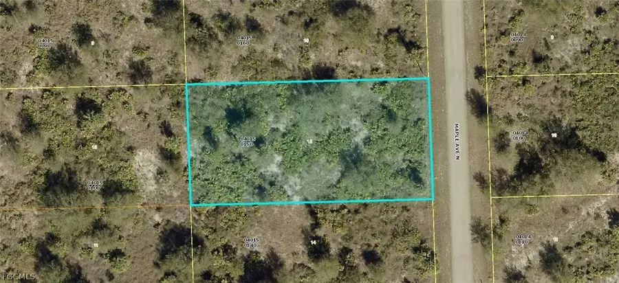 903 Maple Avenue N, Lehigh Acres, FL 33972 - #2