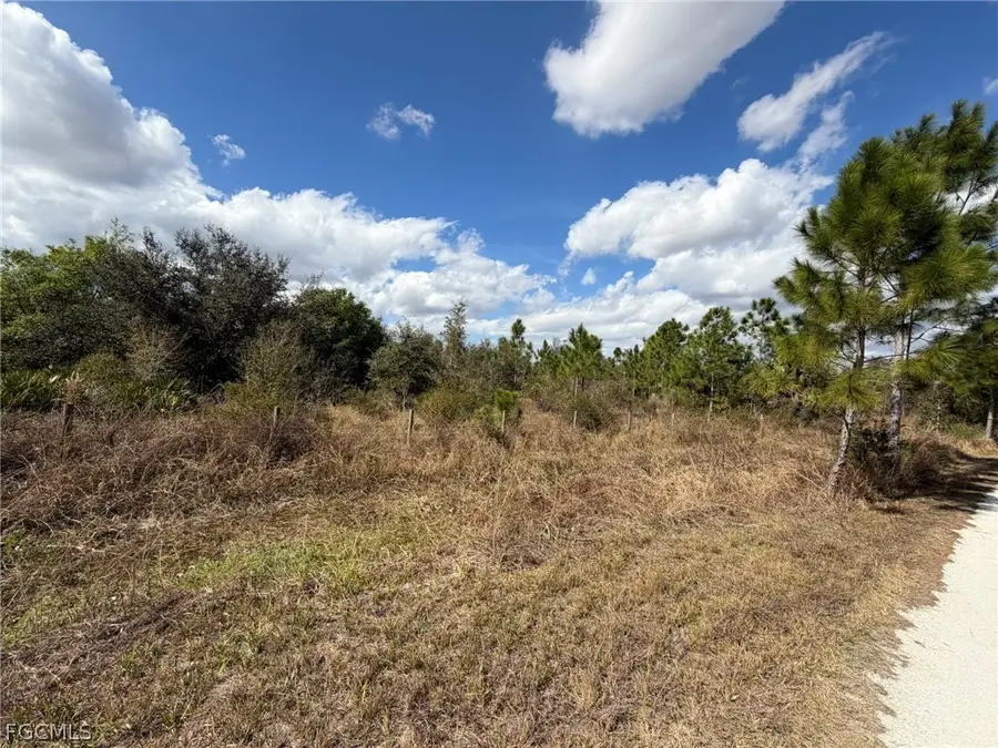 49337 Bermont Road, Punta Gorda, FL 33982 - #3