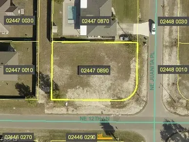 1218 NE Juanita Place, Cape Coral, FL 33909