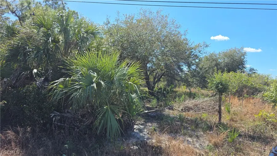 606 Charles Sise Street, Lehigh Acres, FL 33974 - #2