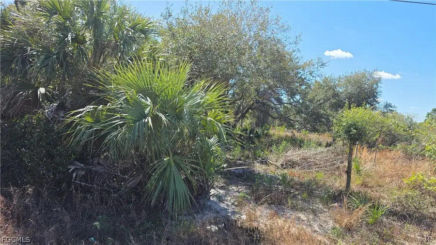 606 Charles Sise Street, Lehigh Acres, FL 33974 - #3