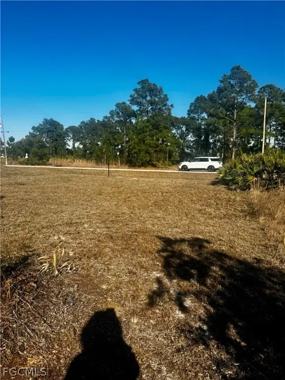 724 Randall Avenue E, Lehigh Acres, FL 33974 - #3