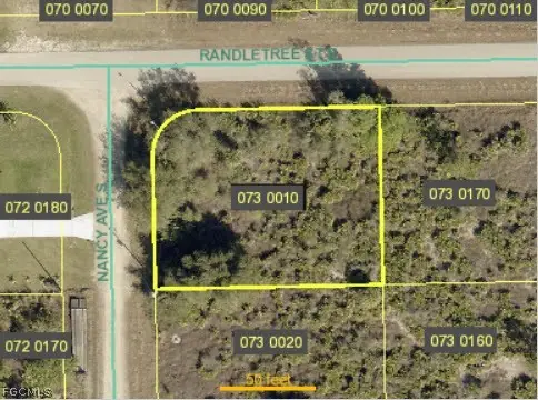 231 Nancy Avenue S, Lehigh Acres, FL 33974 - #1