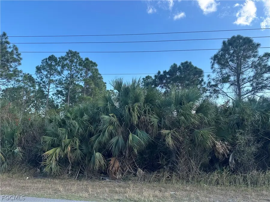 665 Woodcrest Drive, Lehigh Acres, FL 33972 - #3