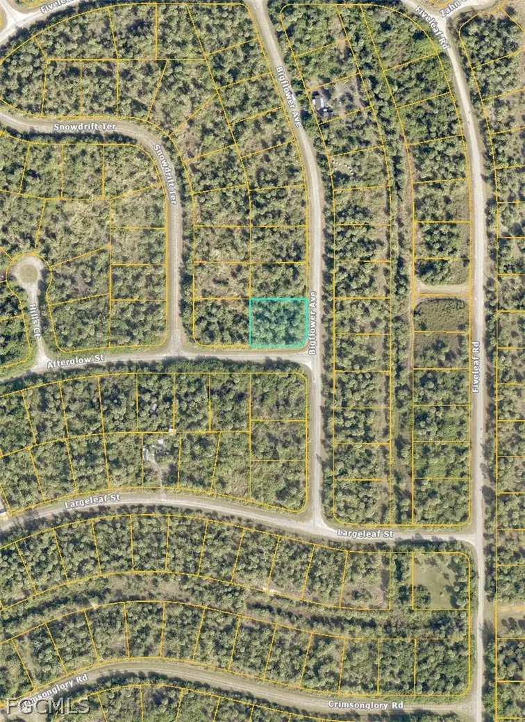 Lot 12 Bigflower Avenue, North Port, FL 34288 - #1