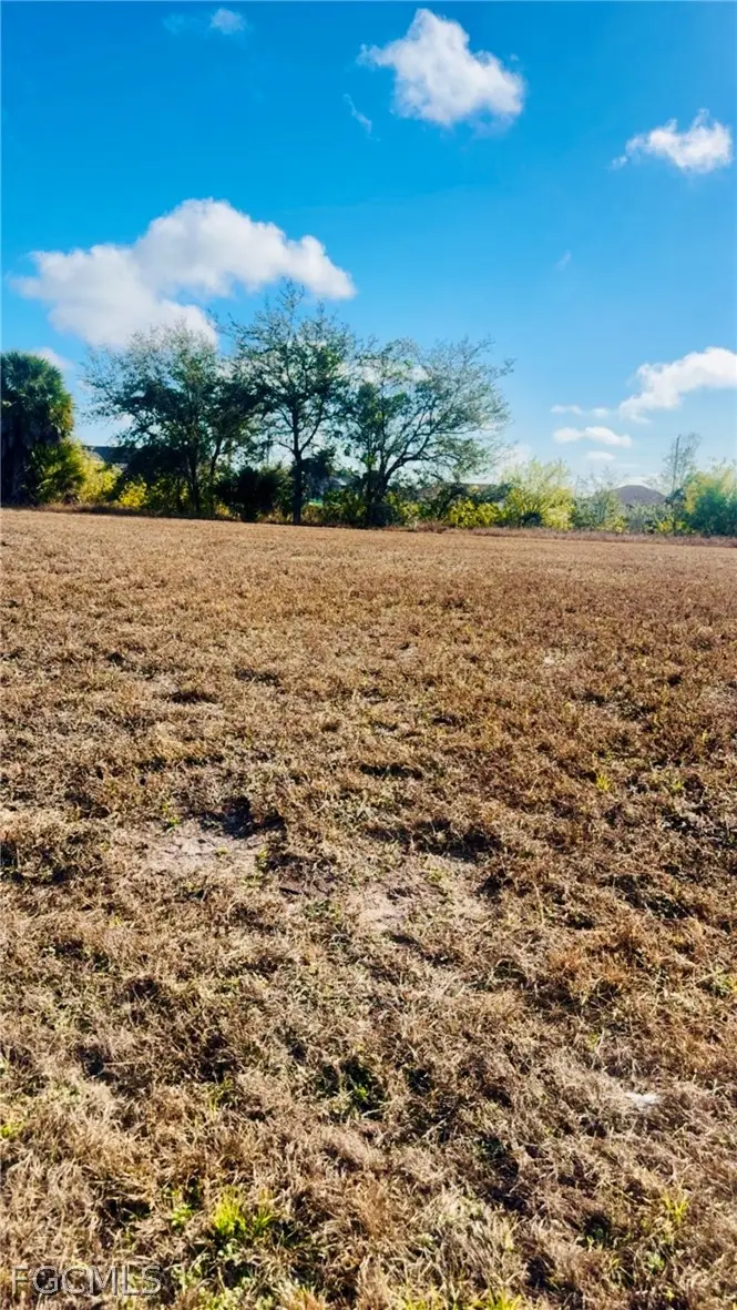 1139 NW 9th Place, Cape Coral, FL 33993 - #3