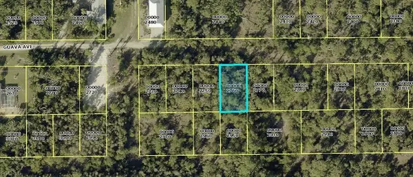 7101 Guava Avenue, Bokeelia, FL 33922