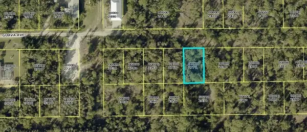7091 Guava Avenue, Bokeelia, FL 33922