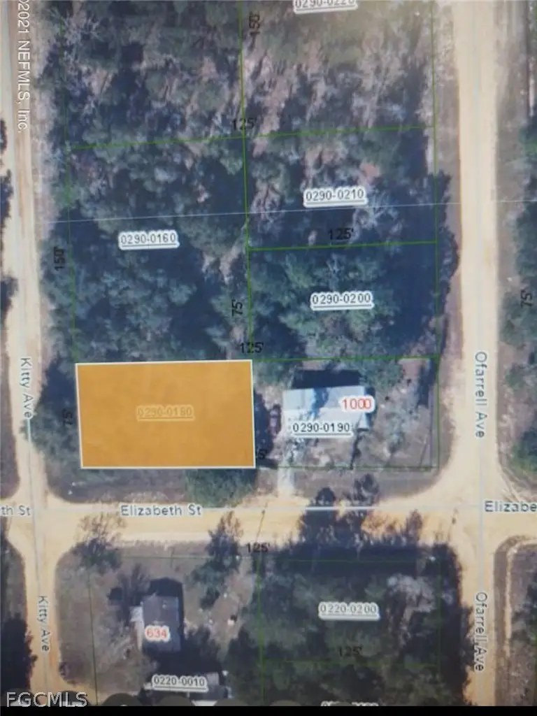 0180 Elizabeth Street, Interlachen, FL 32148 - #2
