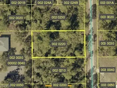 2019 Leroy Avenue, Alva, FL 33920 - #1