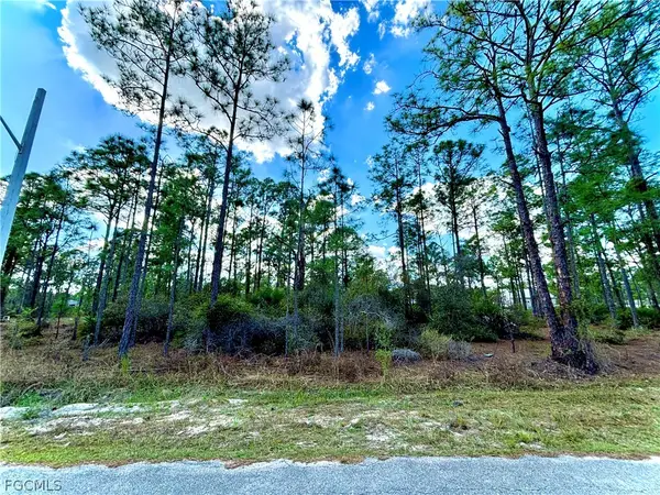 2311 Jackson Avenue, Alva, FL 33920