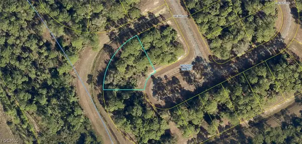 431 Chelsea Loop, Labelle, FL 33935